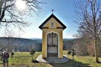 /album/edelsbach-tulpenwanderweg-16-februar-2024/tulpenwanderweg-16-02-2024-61-jpg/